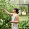 Gardener in linen jumpsuit picking tomatoes